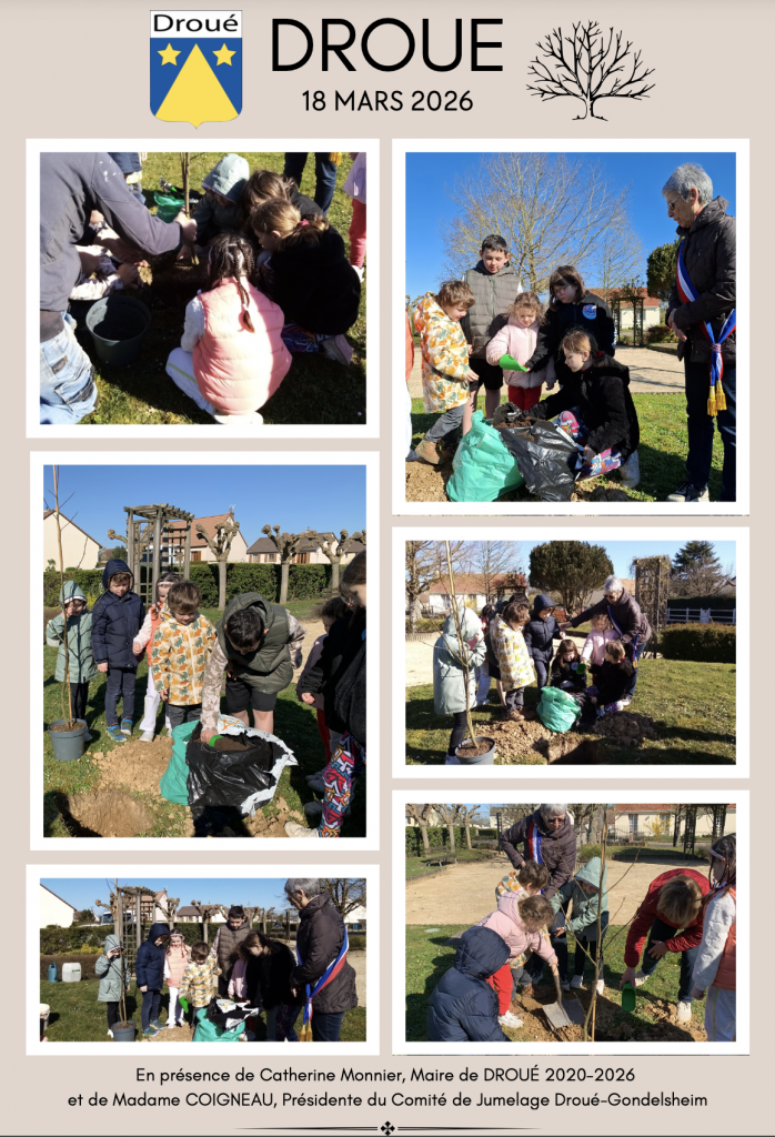 Bei Bürgermeister-Challenge wurde auf dem Place de Gondelsheim ein Baum gepflanzt