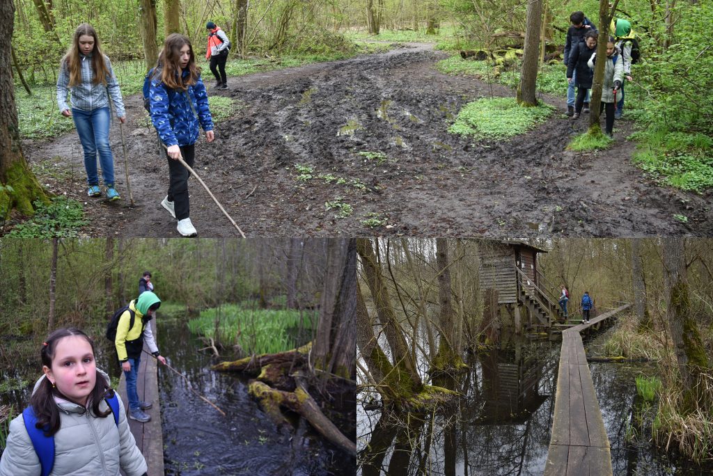 Osterferien-Aktionswoche: Moor
