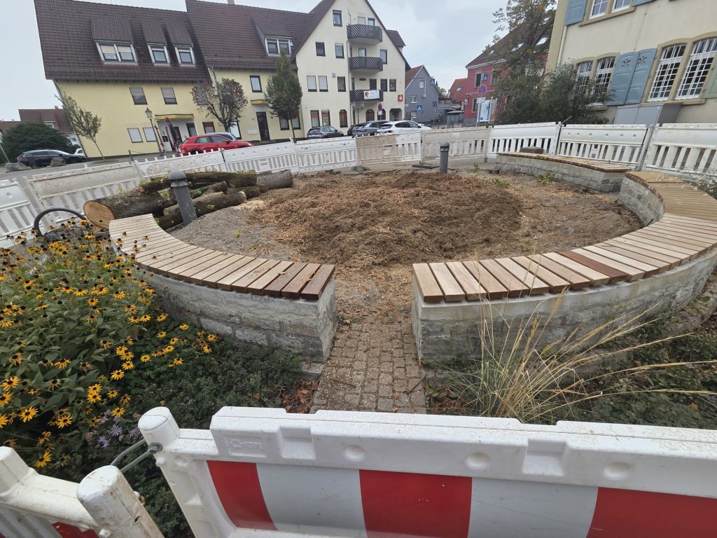 Abschied von der alten Rathausplatzlinde
