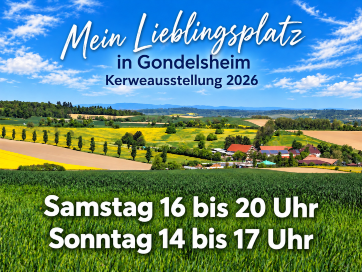 Plakat mein Lieblingsplatz in Gondelsheim